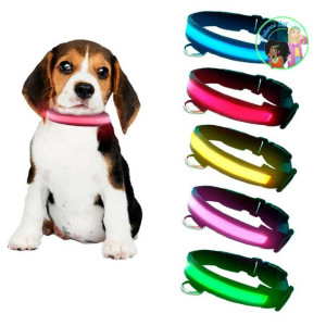 Collar LED para Perros